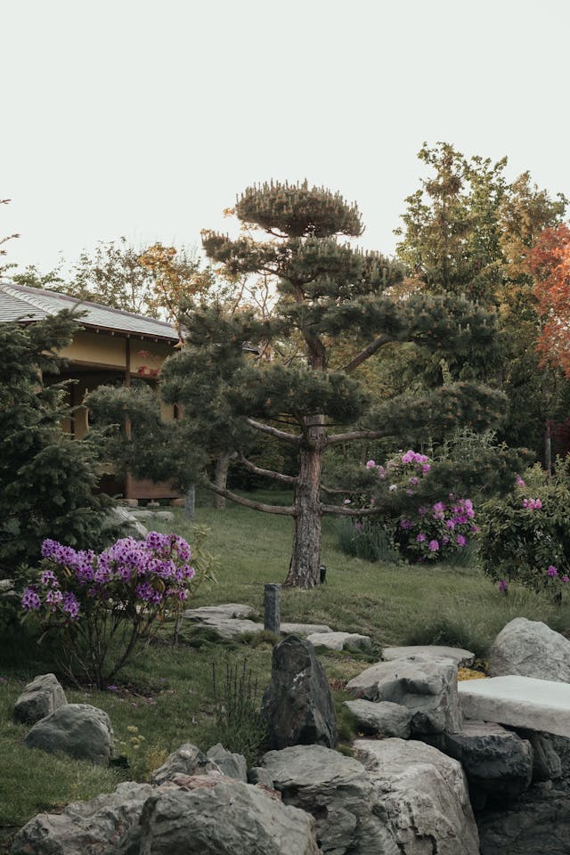 Garten neu gestalten lassen