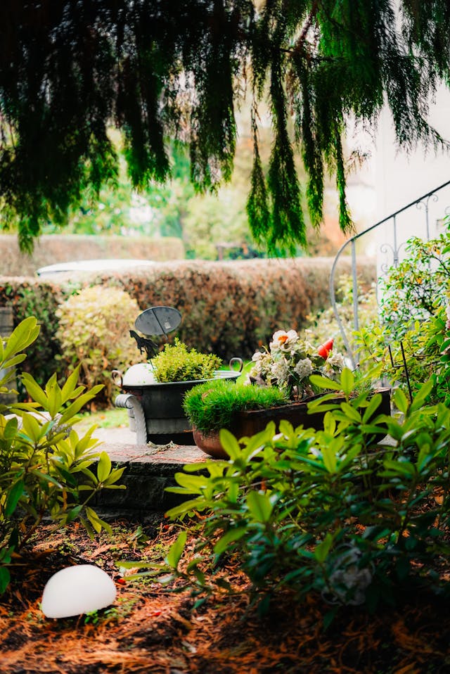 Gartenbau Berlin