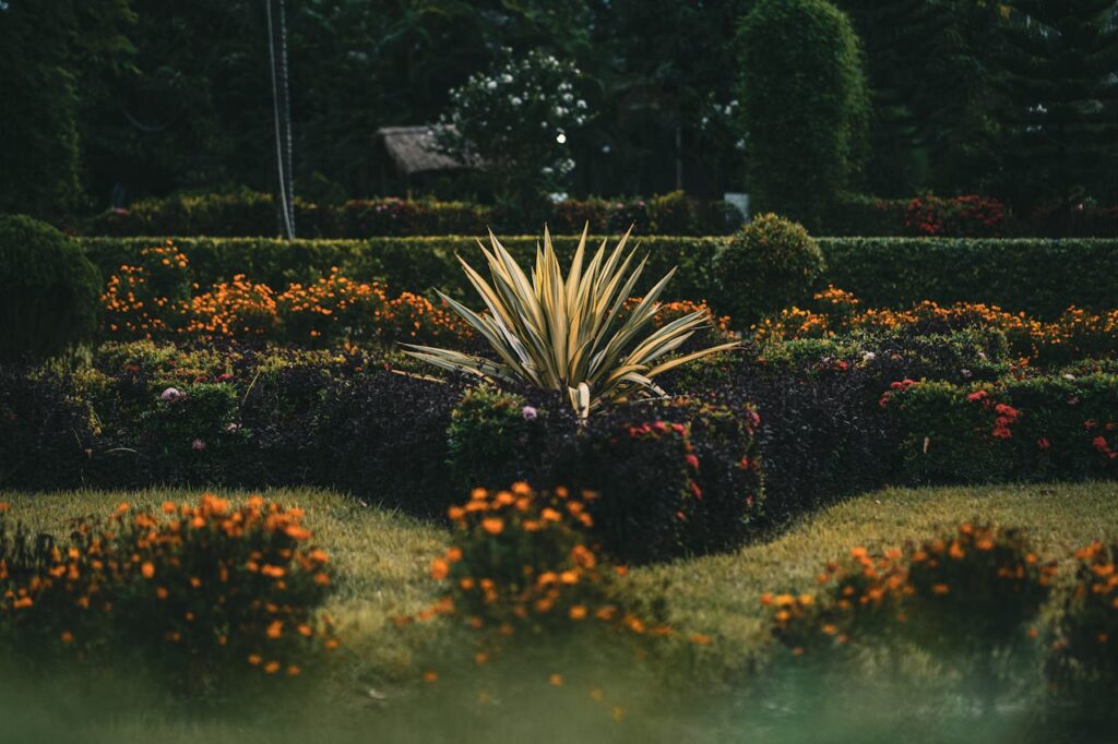 Gartenumbau