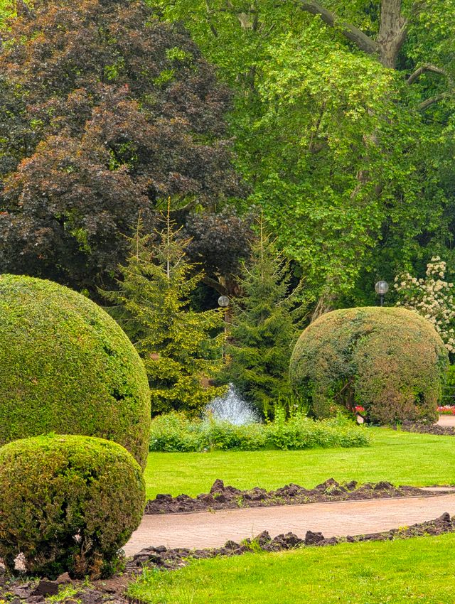 Kugelbaum
